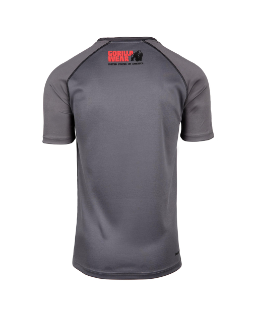 Performance T-Shirt  Gray