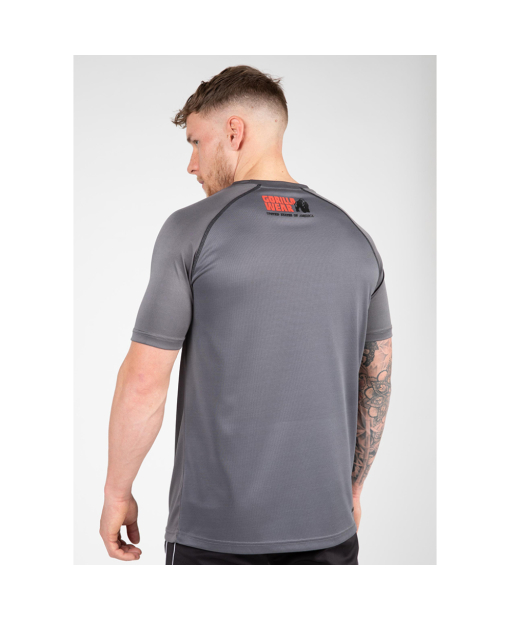 Performance T-Shirt  Gray