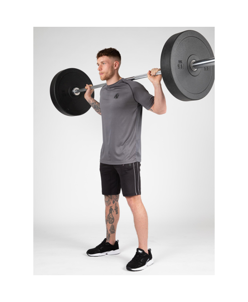 Performance T-Shirt  Gray