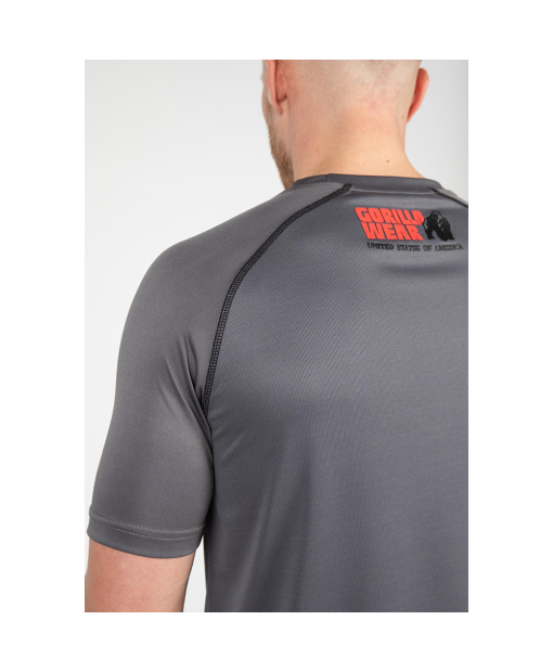 Performance T-Shirt  Gray