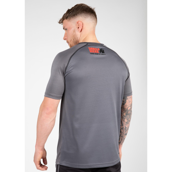 Performance T-Shirt  Gray