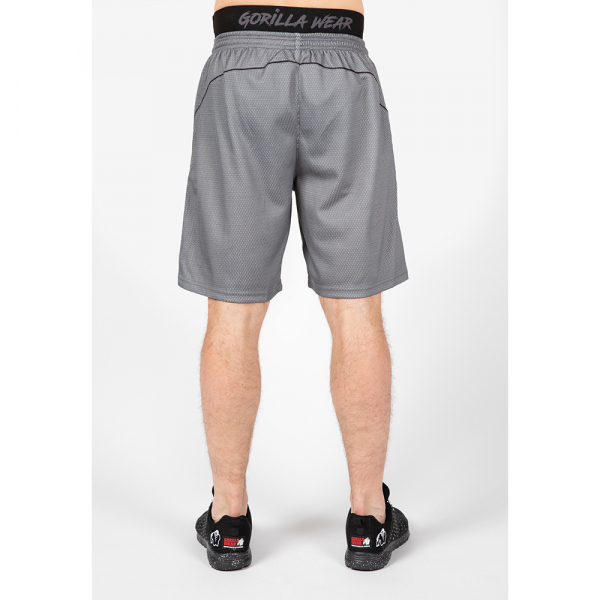 Mercury Mesh Shorts